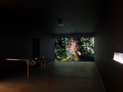 Exhibition view