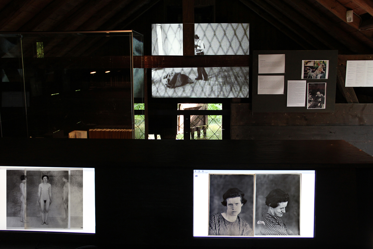 video exhibition, documenta, joseph beuys